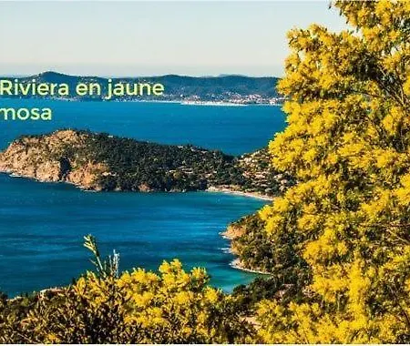 Location Vue Et Esterel, Cap Estérel Agay-saint Raphaël, T2, Piscines, Parking, Wifi